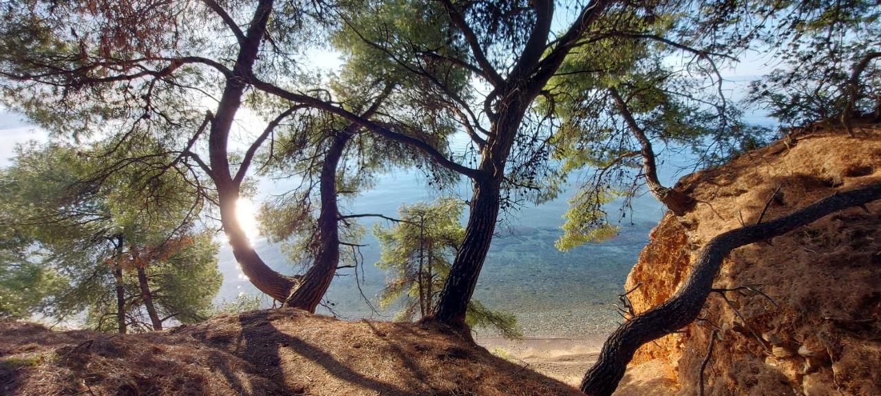 Promenada Nikiti Διαμέρισμα Εξωτερικό φωτογραφία